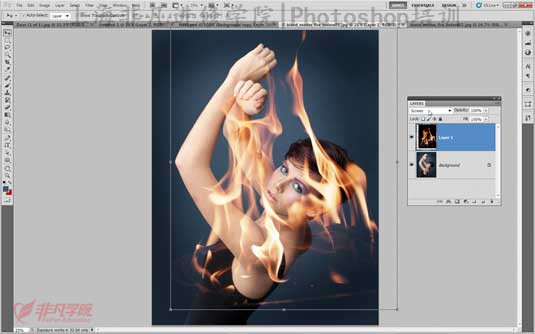 ϺPhotoshopѵ