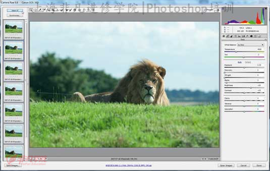 ϺPhotoshopѵ