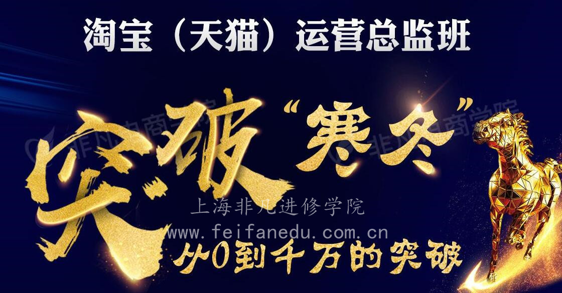 上海奉贤天猫运营培训
